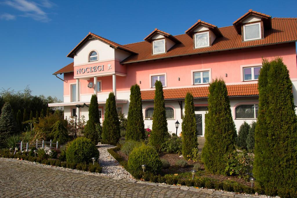 Biała Róża Bed and breakfast *