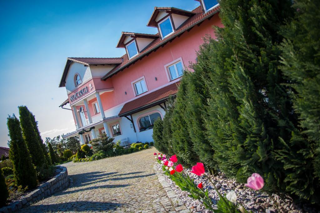 Bed and breakfast Biała Róża